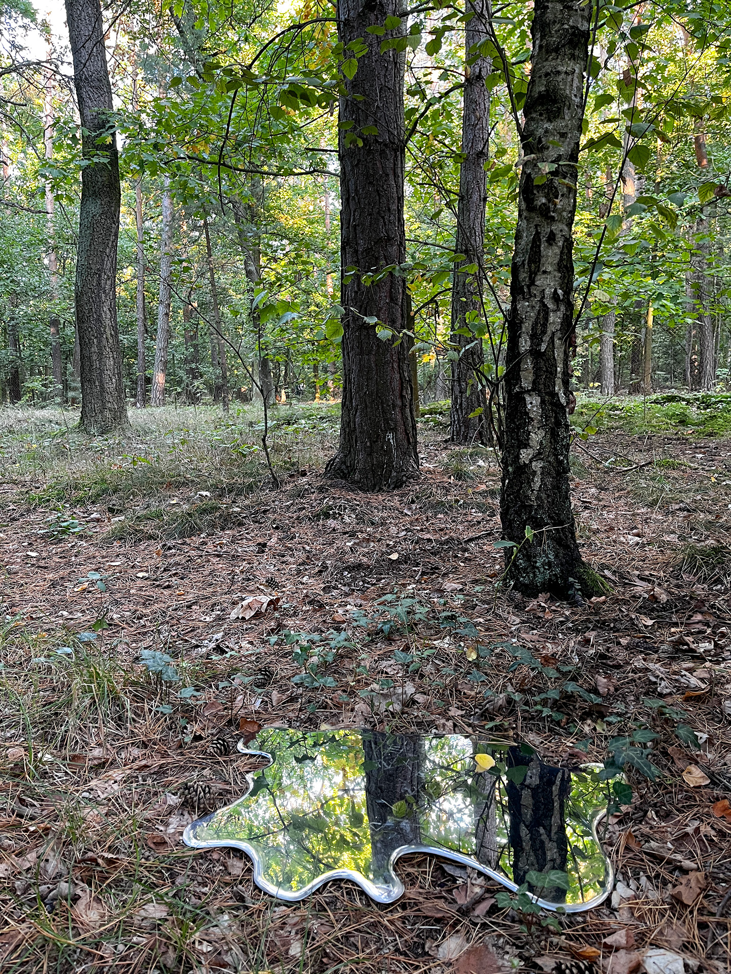 Puddle - louže