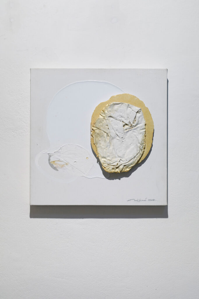 Jindra Viková - She Who Wears Many Faces