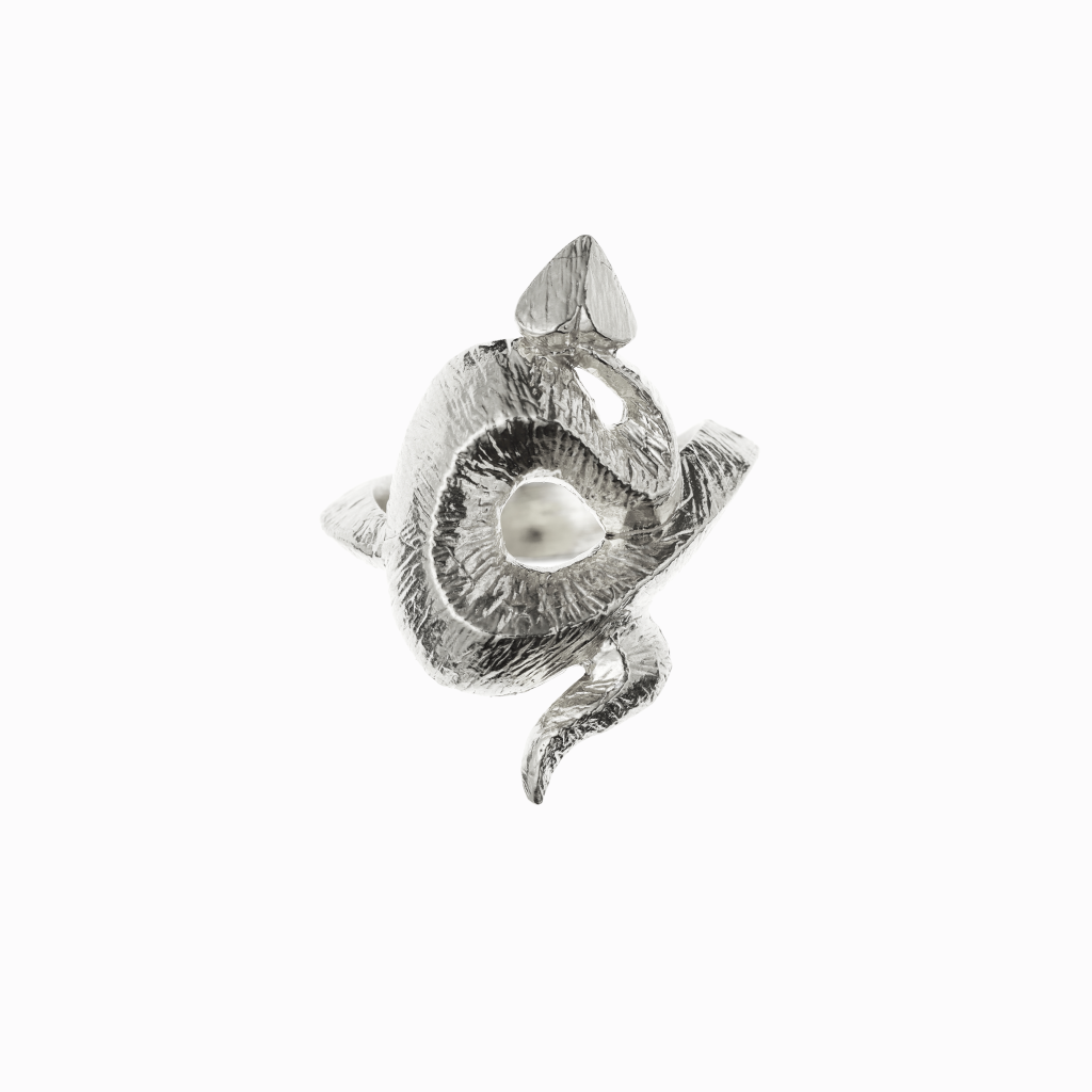 Janja Prokić - Prsten Velký Had