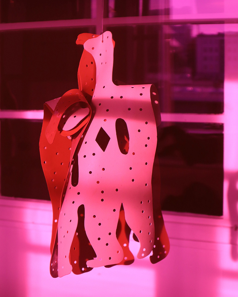 Agnieszka Grodzińska